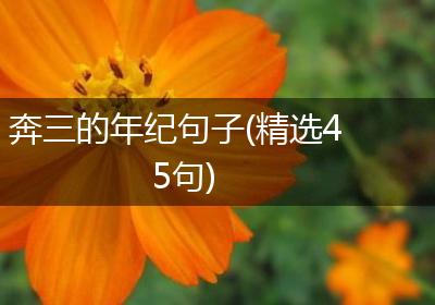 奔三的年纪句子(精选45句)