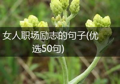 女人职场励志的句子(优选50句)