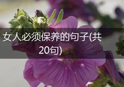 女人必须保养的句子(共20句)