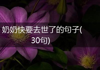 奶奶快要去世了的句子(30句)