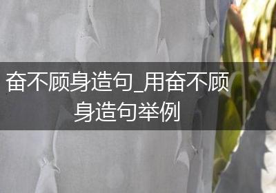 奋不顾身造句_用奋不顾身造句举例