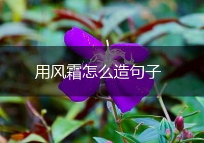 用风霜怎么造句子