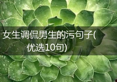 女生调侃男生的污句子(优选10句)