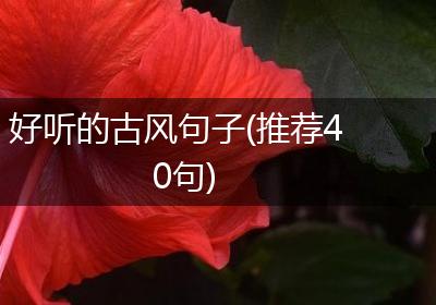 好听的古风句子(推荐40句)