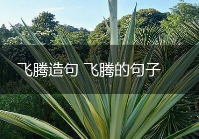飞腾造句 飞腾的句子