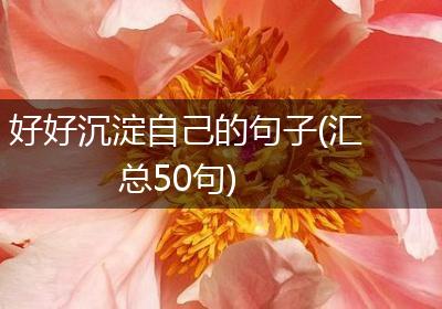 好好沉淀自己的句子(汇总50句)