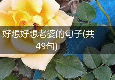 好想好想老婆的句子(共49句)