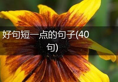 好句短一点的句子(40句)