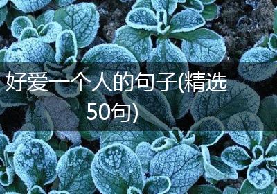 好爱一个人的句子(精选50句)