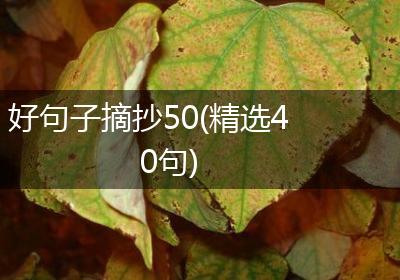 好句子摘抄50(精选40句)
