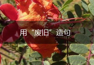 用“废旧”造句