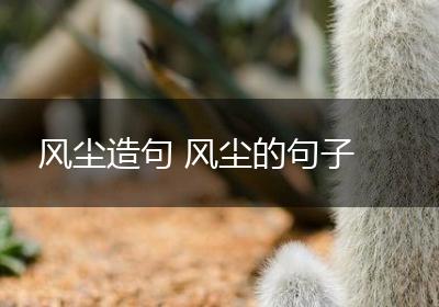 风尘造句 风尘的句子