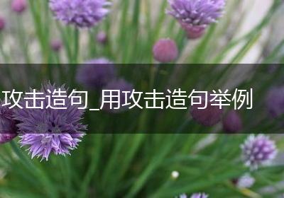 攻击造句_用攻击造句举例