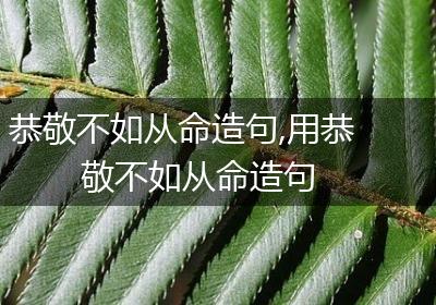 恭敬不如从命造句,用恭敬不如从命造句