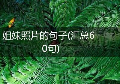姐妹照片的句子(汇总60句)