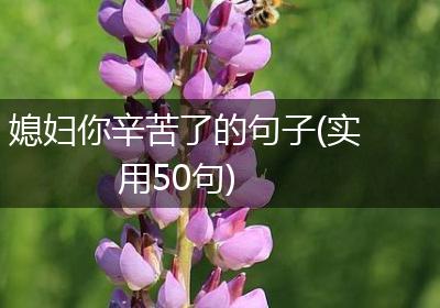 媳妇你辛苦了的句子(实用50句)