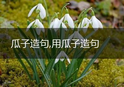 瓜子造句,用瓜子造句