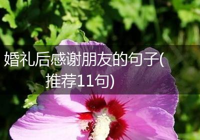 婚礼后感谢朋友的句子(推荐11句)