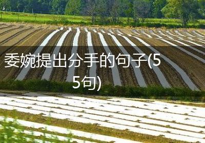 委婉提出分手的句子(55句)