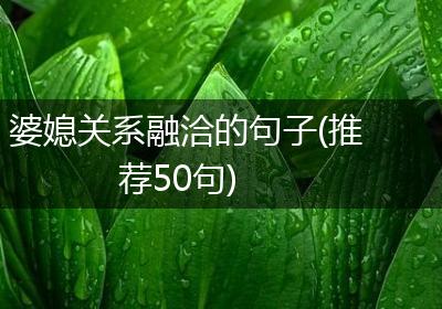 婆媳关系融洽的句子(推荐50句)