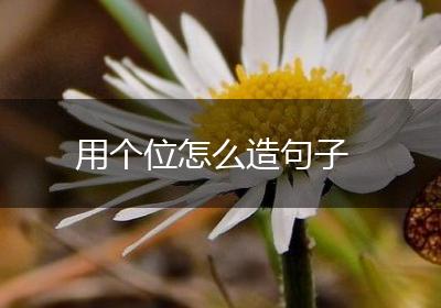 用个位怎么造句子