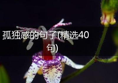 孤独感的句子(精选40句)