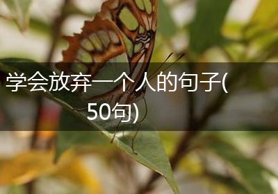 学会放弃一个人的句子(50句)