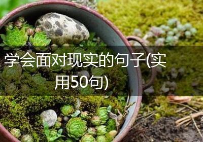 学会面对现实的句子(实用50句)