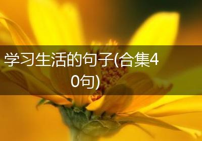 学习生活的句子(合集40句)