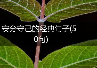 安分守己的经典句子(50句)