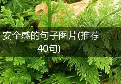 安全感的句子图片(推荐40句)
