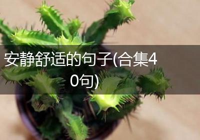 安静舒适的句子(合集40句)