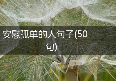 安慰孤单的人句子(50句)