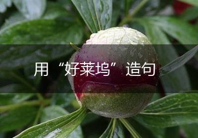 用“好莱坞”造句