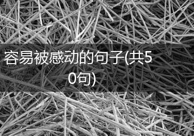 容易被感动的句子(共50句)