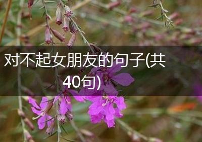 对不起女朋友的句子(共40句)
