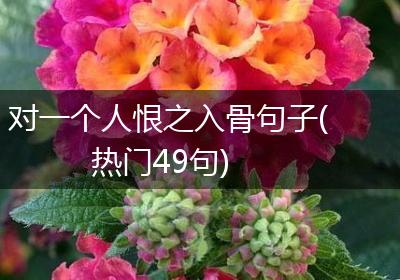 对一个人恨之入骨句子(热门49句)