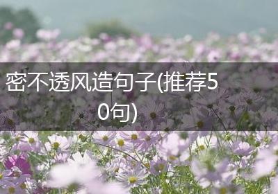 密不透风造句子(推荐50句)