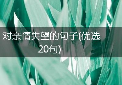 对亲情失望的句子(优选20句)