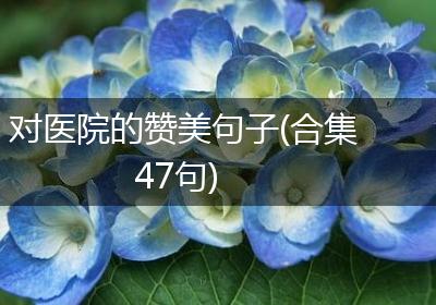 对医院的赞美句子(合集47句)
