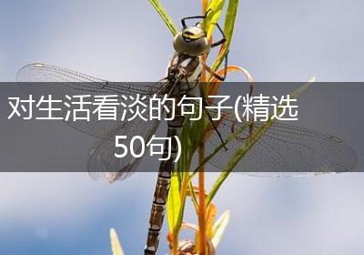 对生活看淡的句子(精选50句)