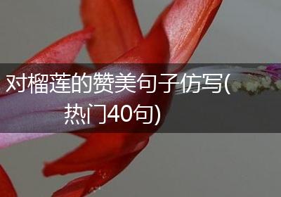 对榴莲的赞美句子仿写(热门40句)