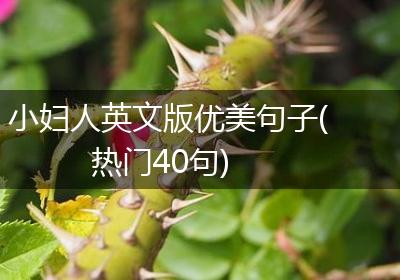 小妇人英文版优美句子(热门40句)