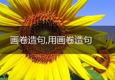 画卷造句,用画卷造句