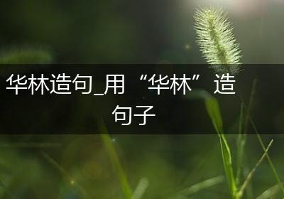 华林造句_用“华林”造句子