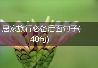 居家旅行必备后面句子(40句)