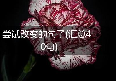 尝试改变的句子(汇总40句)