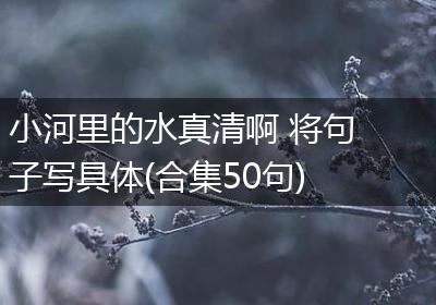 小河里的水真清啊 将句子写具体(合集50句)