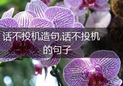 话不投机造句,话不投机的句子