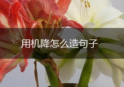 用机降怎么造句子